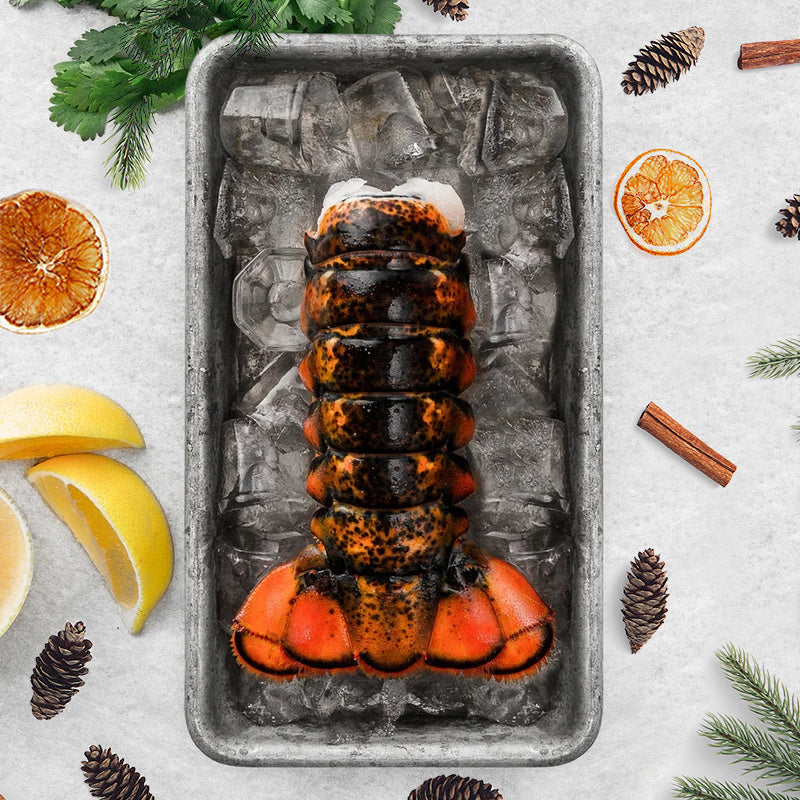 Wild-Caught Maine Lobster Tail - (1) 4-5 oz.