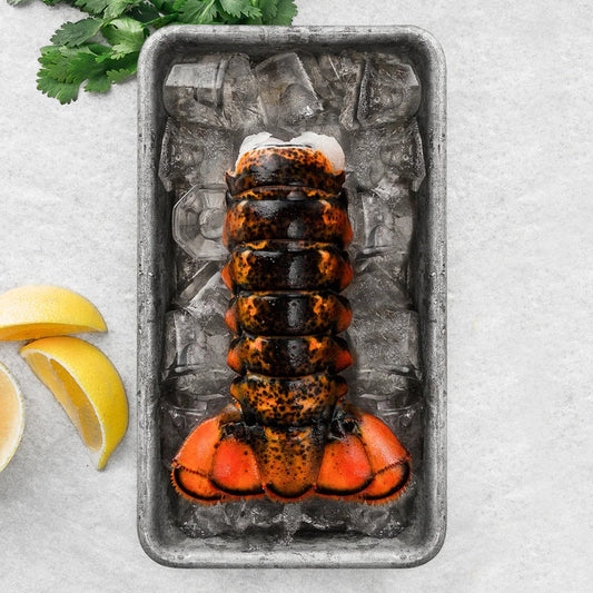 Wild-Caught Maine Lobster Tail - (1) 4-5 oz.