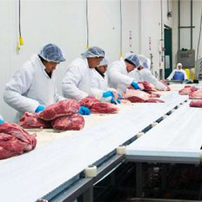 USDA Certified processing