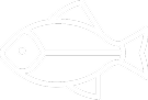 Fish graphic