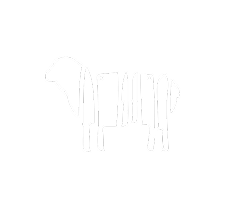 Lamb Icon