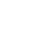 Pork Icon