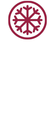 Frozen Icon