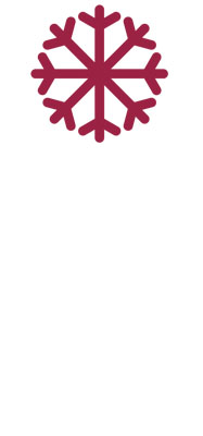 Frozen Icon